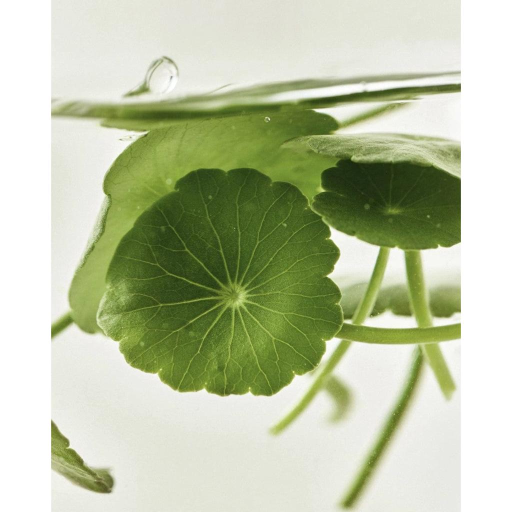 Beauty of Joseon Light On Serum: Centella + Vita C