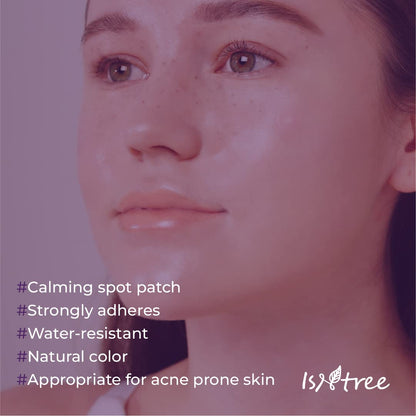 Isntree Onion Newpair Spot Patch [Basic] | [Skin Fit]