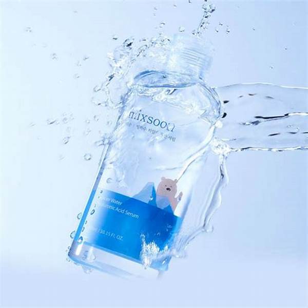 Mixsoon Glacier Water Hyaluronic Acid Serum 300ml