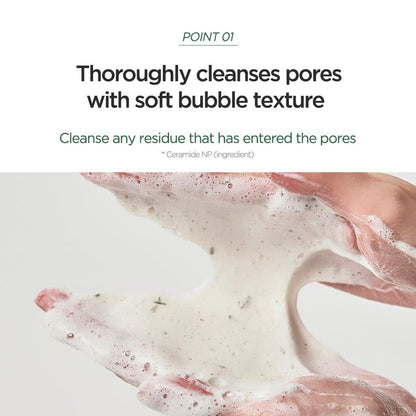 Anua Heartleaf Quercetinol Pore Deep Cleansing Foam 150ml - Deep Pore Cleanser for Acne-Prone Skin